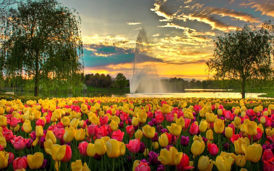 حديقة شيكاغو النباتية | Chicago Botanic Garden