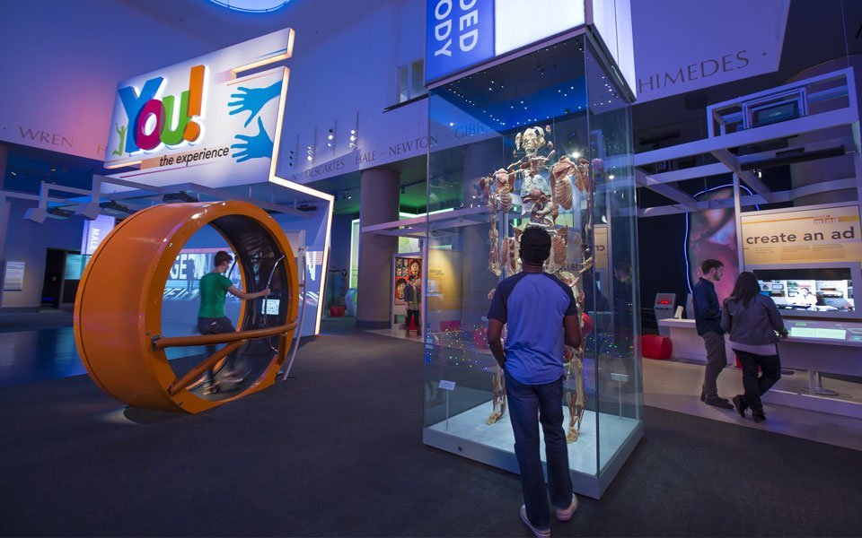 أفضل المتاحف للأطفال في شيكاغو