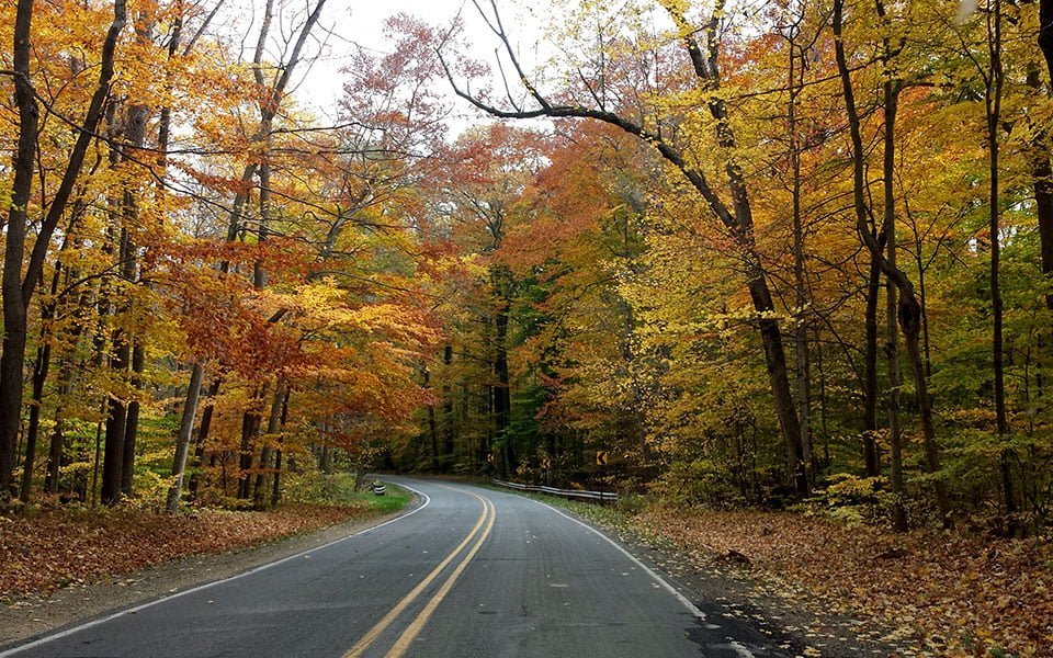 أفضل وجهات الرحلات الخريفية في شيكاغو – الجزء 1