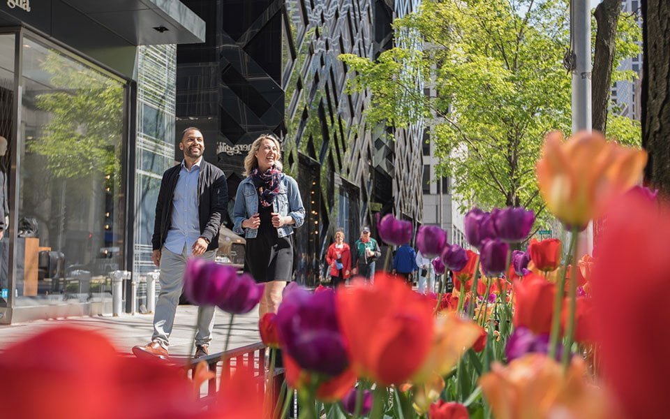 Magnificent Mile حي من أحياء مدينة شيكاغو