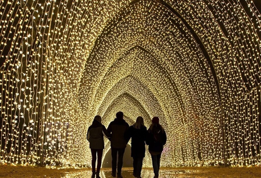 نفق لامع من الأضواء سينير حديقة شيكاغو النباتية هذا الشتاء