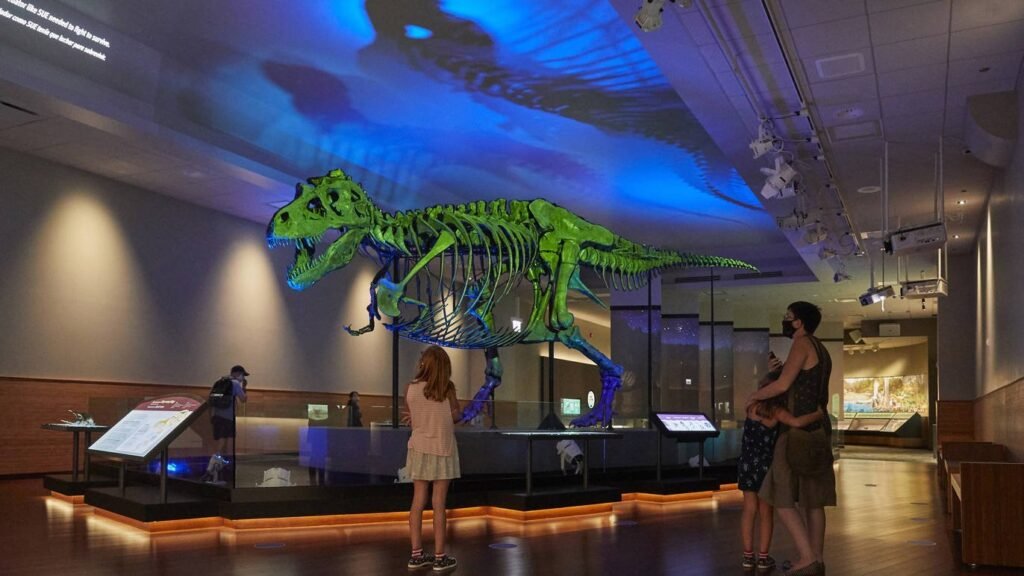 إعلان متحف «شيد» المائي والمتحف الميداني بالفعل عن خطط إعادة الافتتاح