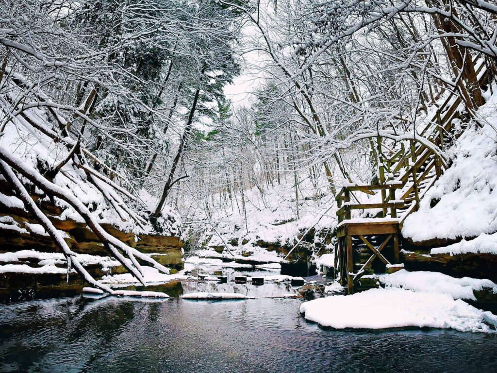 أفضل أماكن التنزّه في شيكاغو