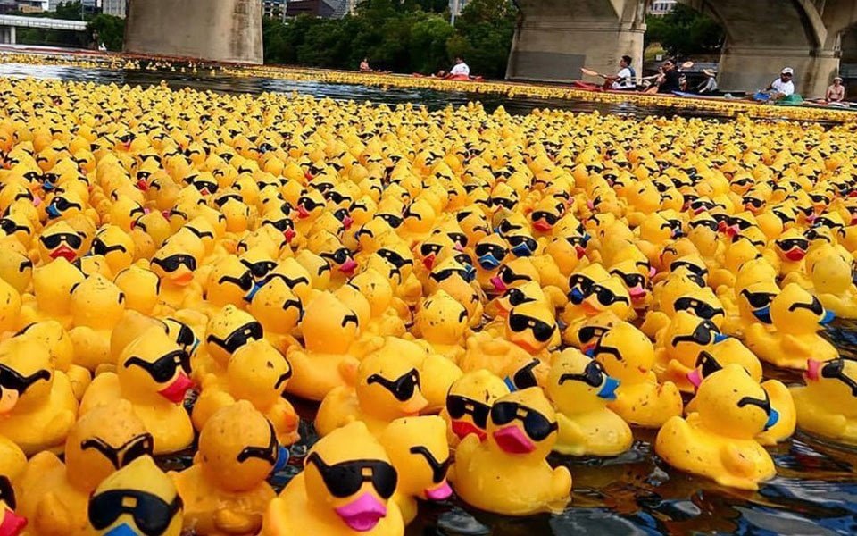 سباق البط المطاطي Ducky Derby