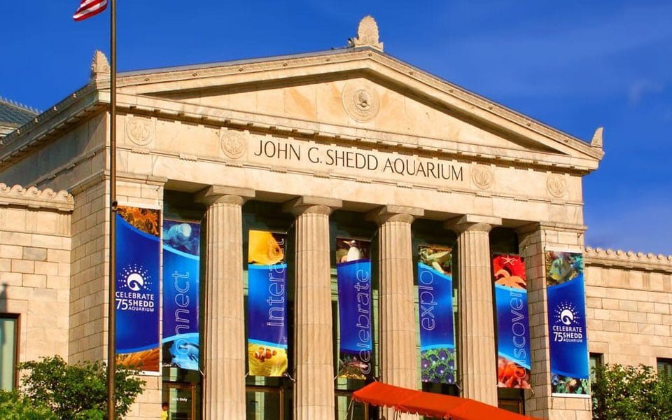 لسكان "إلينوي"... أيام الخميس في ''Shedd Aquarium'' مجاناً