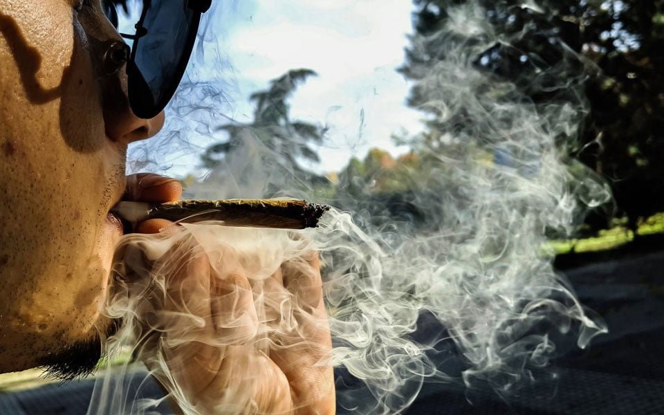 ما تحتاج معرفته عن الحشيش القانونية في شيكاغو - الجزء 2