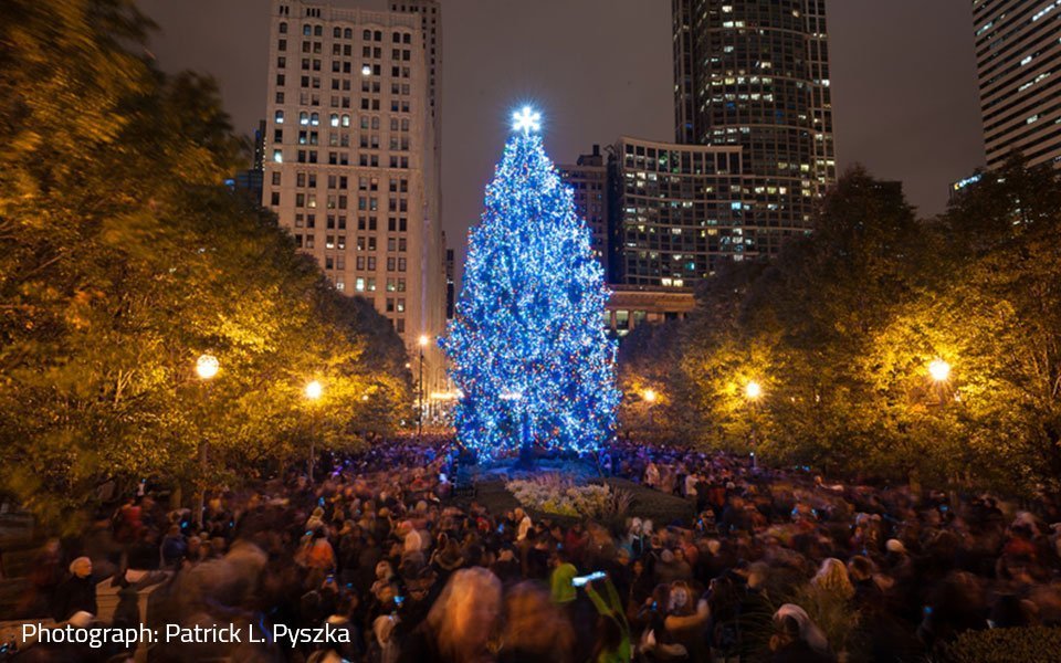 شجرة الميلاد في منتزه "ميلينيوم بارك" (Millennium Park)