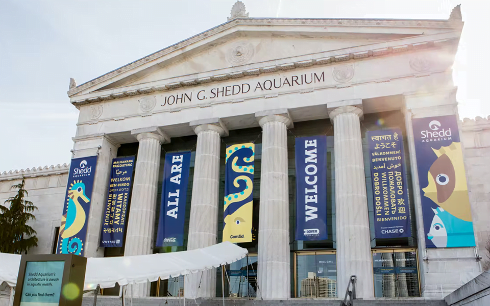 "شيد أكواريوم" يعلن عن مشروعه الجديد