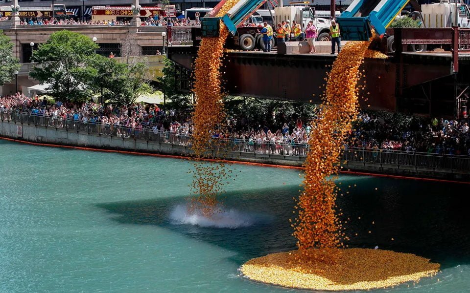 سباق البط المطاطي "Derby Duck Race"