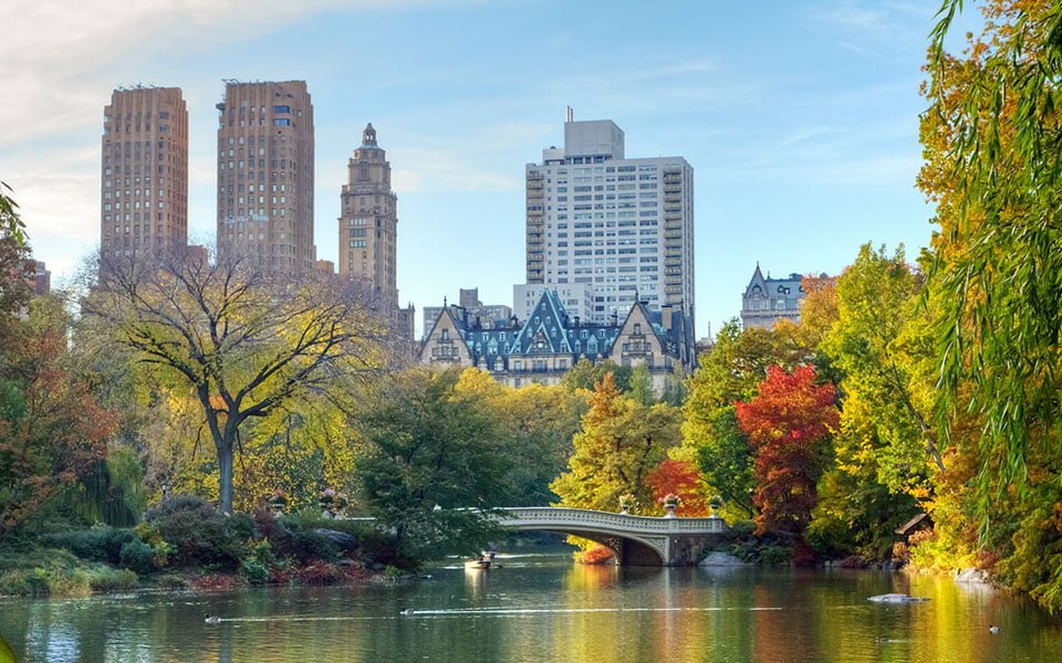استعد لنوفمبر دافئ في نيويورك هذا العام