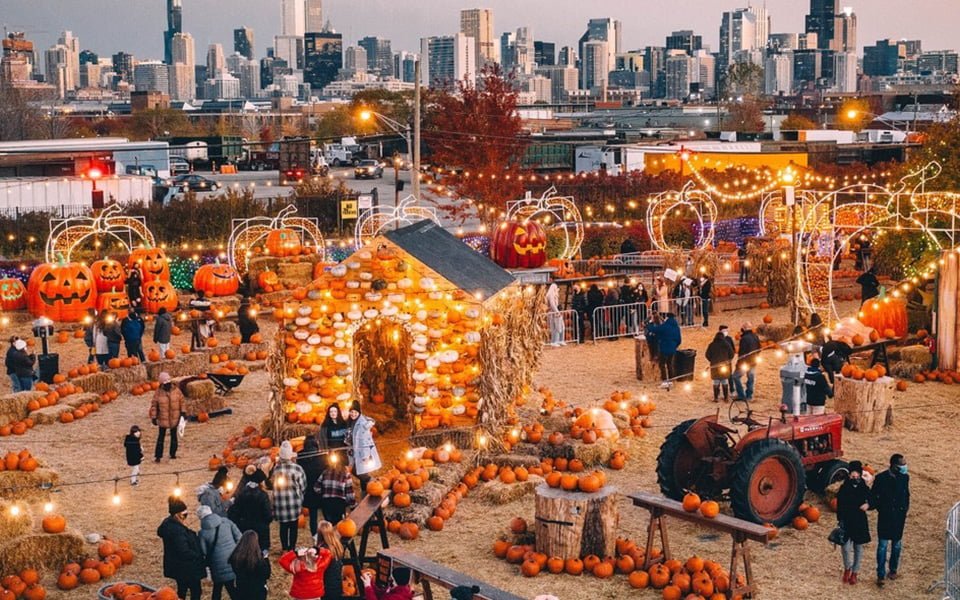 مهرجان القرع "Jack's Pumpkin"