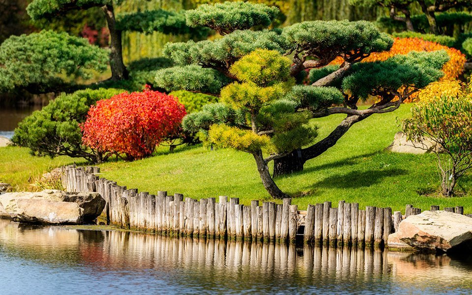 لا تفوت أجمل مناظر الخريف في شيكاغو