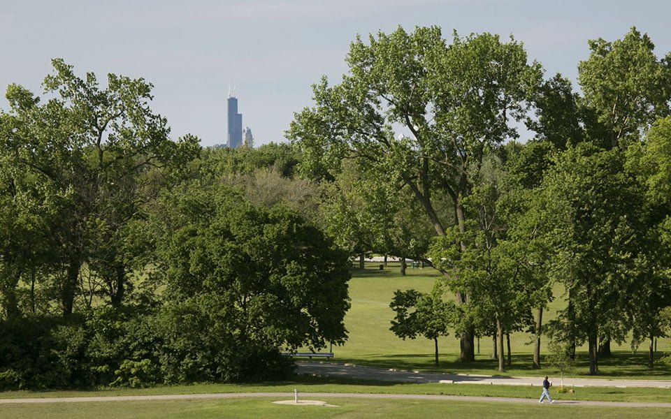 غابة "دان ريان" موطن للطبيعة والعائلة في شيكاغو