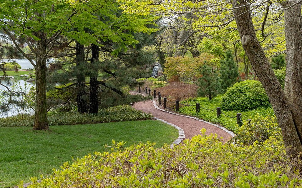 منتزه "جاكسون"، وجهة تاريخية وطبيعية في شيكاغو